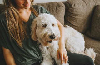 Come si diventa pet sitter