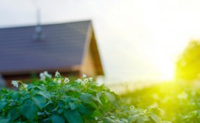 auto cambio gomme risparmio pneumatici rigenerati