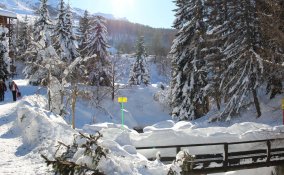 sci inverno neve attrezzatura abbigliamento sciare