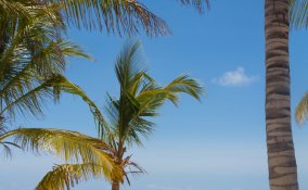 Kenya Watamu parchi Africa villaggi turistici