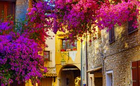 Provenza Francia campagna vacanze viaggi