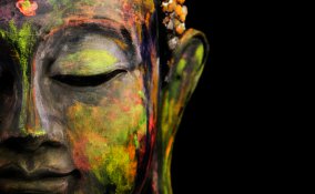 contrasti india pappagalli pavone recensioni viaggi