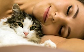 cani gatti casa igiene animali quattrozampe amici veterinario cura pulizia padrone cucciolo cuccia allergia profilassi