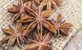 anice spezia benessere salute