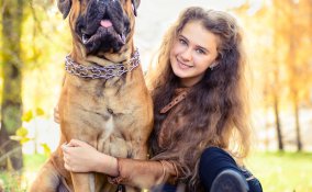 bullmastiff, cane, descrizione