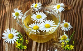 camomilla tisana rilassante 