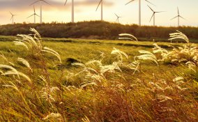 ventoso, aria, soffiare, brezza