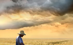 lavoratore della terra, terreno coltivato, prodotti della terra, campagna