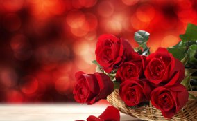 rosa fiore sogno interpretazione