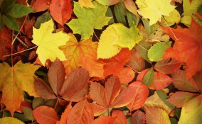 viaggi autunno destinazioni boston Saintes - Maries de la Mer il Lago Maggiore Isole Borromee