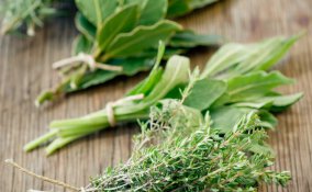 erbe spezie utilizzo consigli cucina 