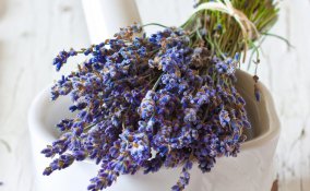 profumi naturali biodegradabili deodoranti ambientali freschezza