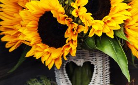 decoupage, hobby, fai da te, carta, fiori, girasole