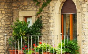 Un frutteto nel tuo terrazzo