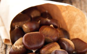 castagne marroni consigli autunno proprietà