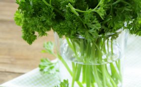 erbe aromatiche sapore cucina condimento