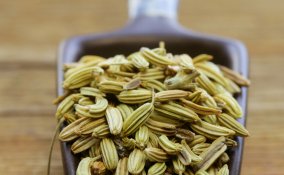 finocchio salute dieta verdura