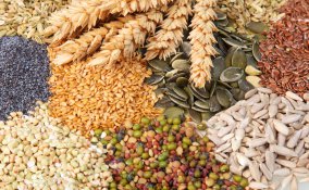 mangiare ecologico cucina sostenibile regole per risparmiare non sprecare