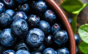 Le proprietà del mirtillo sono tante: diuretiche, anti-diabetiche, toniche, astringenti.