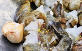 pesce varietà allevato selvatico surgelato consigli benefici proprietà