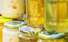 propoli antibiotico natura erbe 