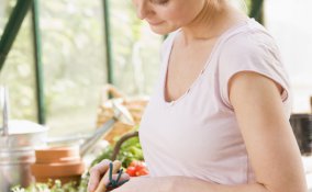 Via le ‘macchie nere’ dai fiori