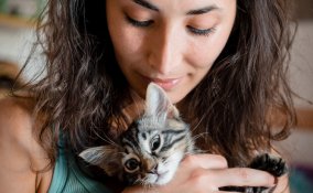 pet, therapy, salute, animali