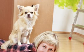 cucciolo, casa, accoglienza, cane, abituare, abitudini, educare