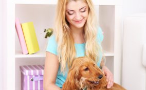 convivenza, fido, casa, padrone, abitazione