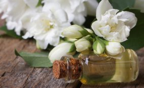 foglie rami frutti fiori decorazioni composizioni arredamento piante ornamento