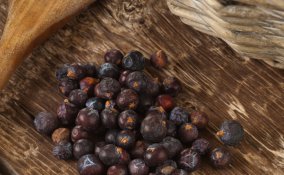 spezie anice stellato ginepro chiodi garofano