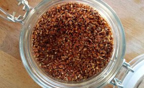 semi di lino proprietà