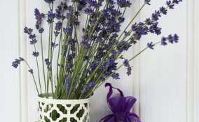 La lavanda per profumare la tua casa