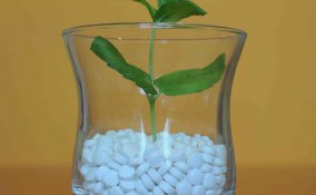 rimedi omeopatici cosa sono