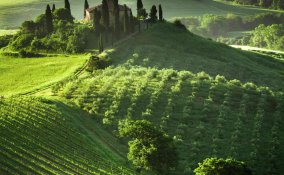 val d'orcia cosa vedere