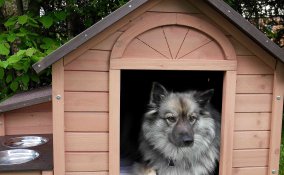 come costruire una cuccia per cani