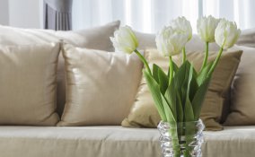 togliere macchie dal divano