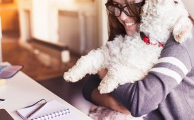 Alleati a 4 zampe: gli animali contro stress e malattie