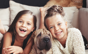 Quando tuo figlio vuole un cane