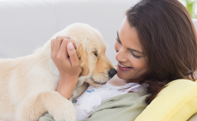 Ci amano di più i cani o i gatti?