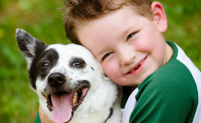 Voglia di un cucciolo? Le razze dei cani più adatte ai tuoi bambini