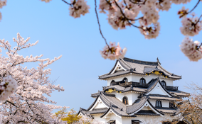 10 cose sulla cultura giapponese che ti incuriosiranno