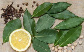 tisana alloro, rimedi naturali, indigestione