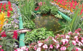 orticola 2017 date, mostra orticola 2017, orticola 2017 eventi