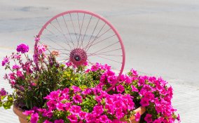 tappe giro italia 2017, giro italia 2017