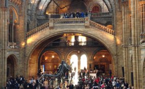 natural history museum ©OliviaChierighini