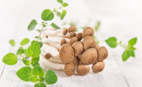 funghi chiodini ricette