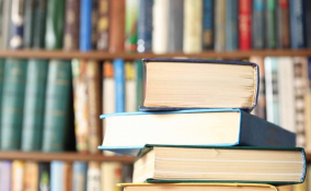 tsundoku significato