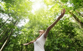 bagno nella foresta, shinrin yoku italia, foresta bathing