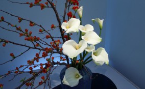 ikebana arte giapponese